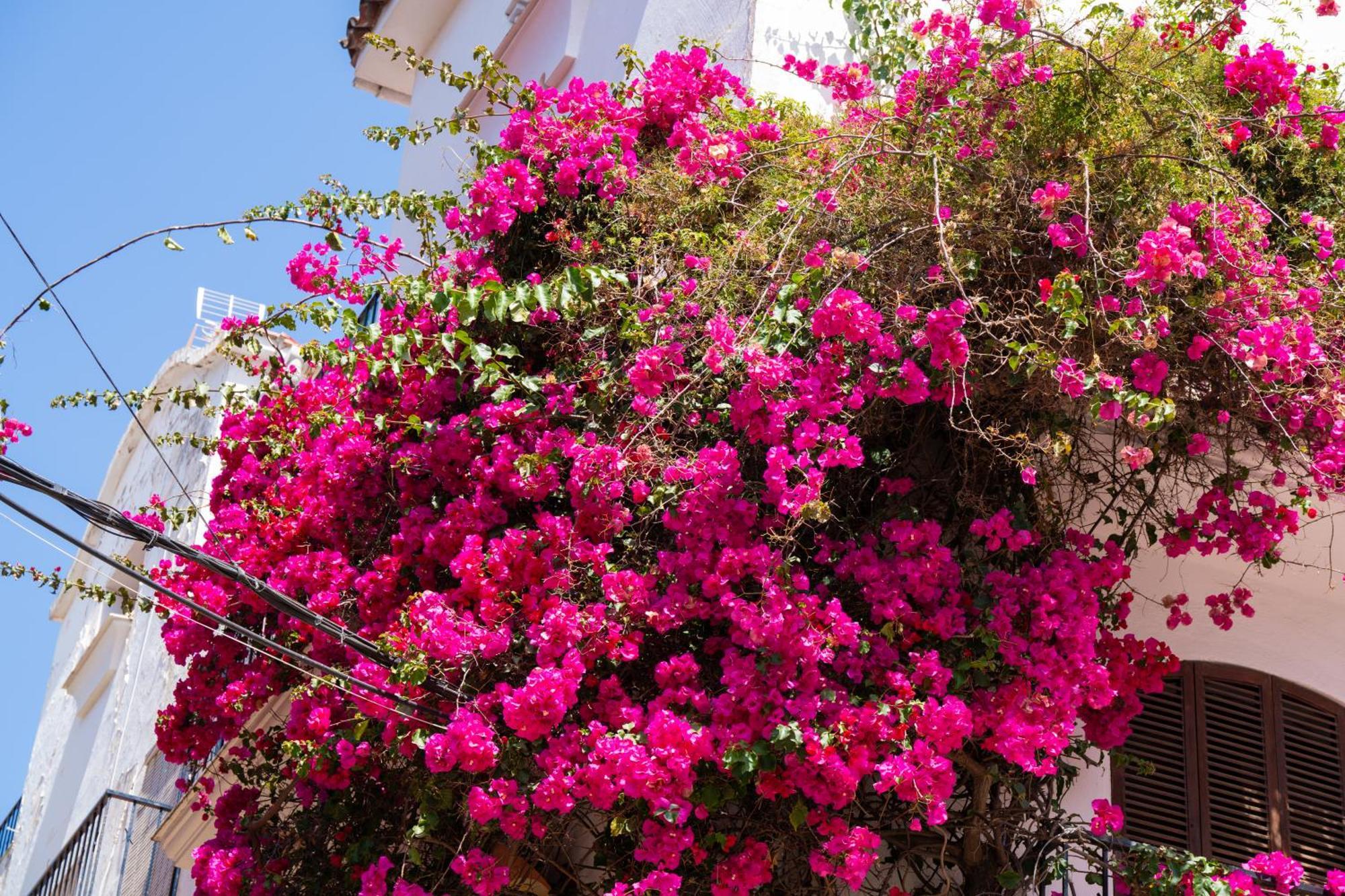 Marbella Luxury Duplex 106 Close To The Beach Экстерьер фото